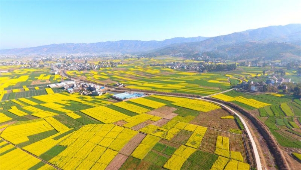 夏天国内旅游好去处推荐